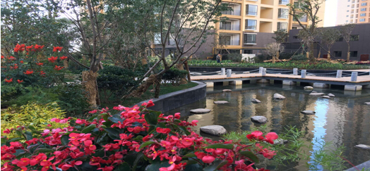 大波村項(xiàng)目完成綠化和市政道路驗(yàn)收