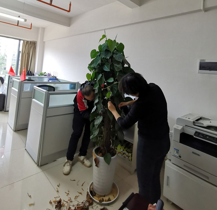 康澤公司組織開展愛國(guó)衛(wèi)生運(yùn)動(dòng)暨規(guī)范化管理檢查