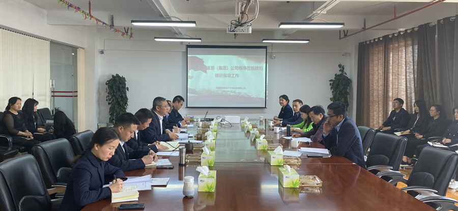 孟春柳到云航地產(chǎn)調(diào)研