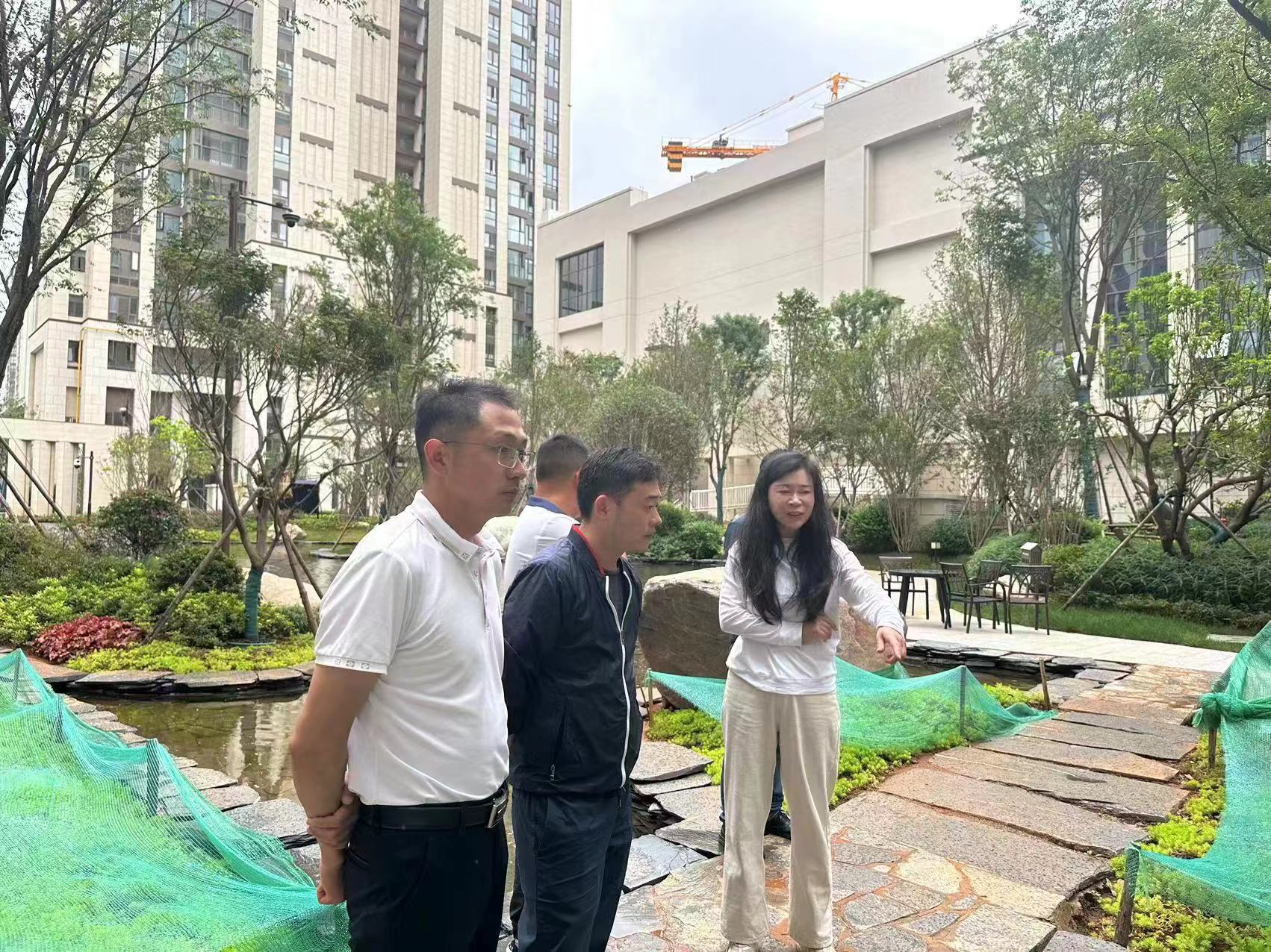 袁明紅到大理片區(qū)龍悅?cè)A府項目檢查指導(dǎo)